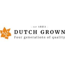 Dutch Grown screenshot